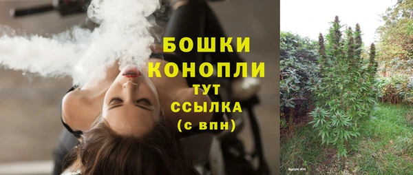 спиды Нея